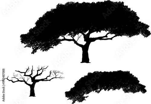 Silhouette of various trees set, including leafy deciduous trees and dead bare branches. Isolated on white background vector illustration.