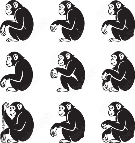 set of monkeys in different poses