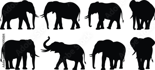 African elephant silhouettes collection featuring multiple walking and standing poses, black wildlife mammals isolated vector illustration set for safari nature design