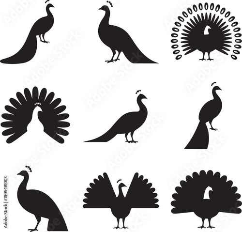 set of peacock silhouettes in various poses and displays
