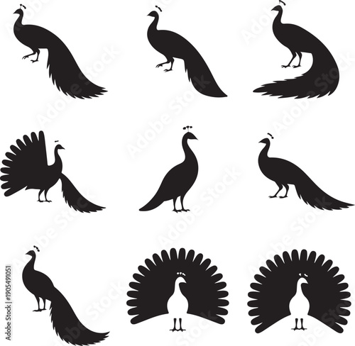 set of peacock silhouettes in various poses and movements