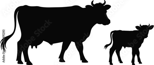 Cow and calf silhouettes set, farm cattle livestock standing isolated on white background, dairy agriculture animal vector illustration collection
