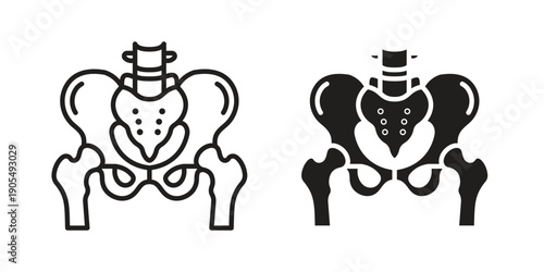 Pelvic area icons in different styles. Simple icon design