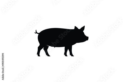 Silhouette of domestic pig standing sideways isolated on white background for farming and agriculture concept