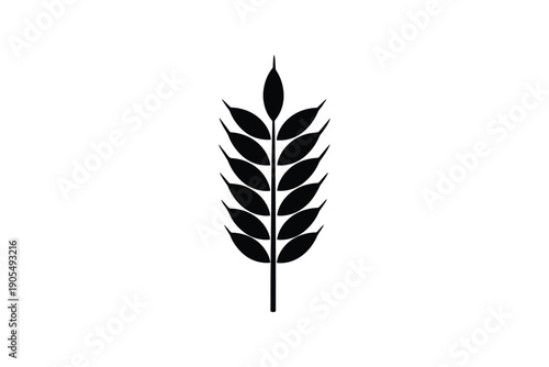 Single stalk of wheat isolated on white background, symbol of agriculture, food and harvest