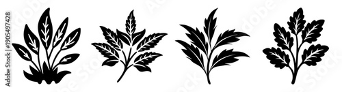 Green herbal plant vector icon set with leaves and flowers isolated on white background for wellness and nature design