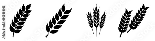 Wheat stalks vector icon set isolated on white background minimalist harvest agriculture illustration