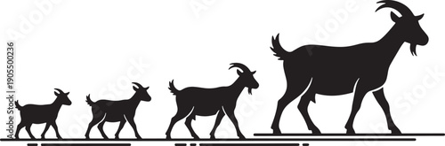 Family of goats walking in line on a road