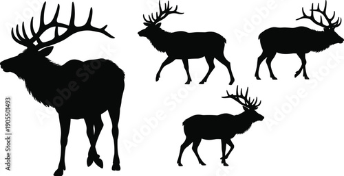 Deer silhouette collection, stag and elk wildlife animal set with antlers walking poses isolated on white background vector illustration