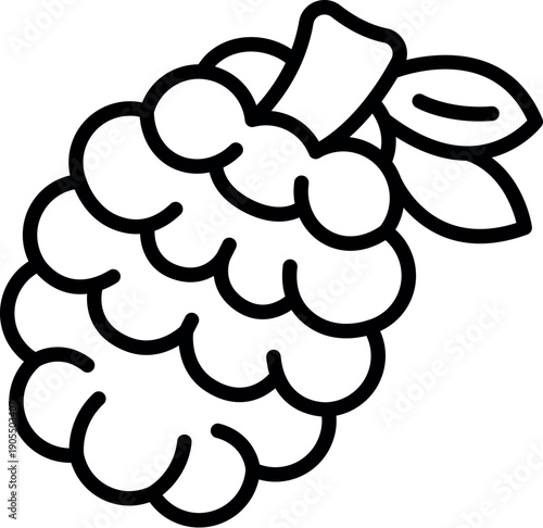 Line art drawing of a raspberry fruit with stem and leaves, representing freshness and natural sweetness