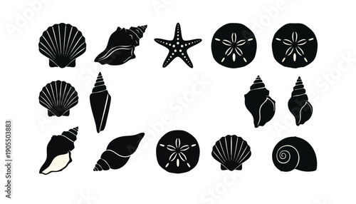 Coastal marine shell silhouette illustration pack for nautical and beach design