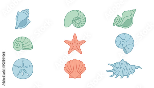 Tropical sea shell elements vector illustration for beach and coastal design