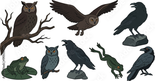 Black crow and raven silhouettes collection isolated on transparent background