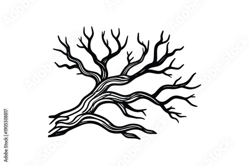 Striking black and white illustration of a gnarled, bare tree branch with multiple intricate subdivisions