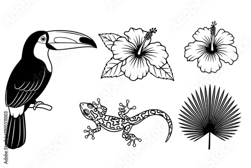 Tropical flora and fauna icon set.Illustration of jungle wildlife. Toucan bird, hibiscus flower, gecko lizard, palm leaf. Exotic nature, animal and plant silhouettes.