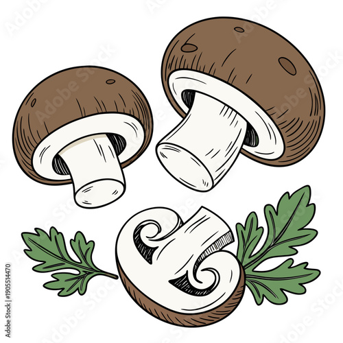 Brown Mushrooms Whole and Sliced with Parsley Vector Illustration