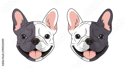 Two happy french bulldog portraits with symmetrical face markings in grey and white colors placed side by side on white background.