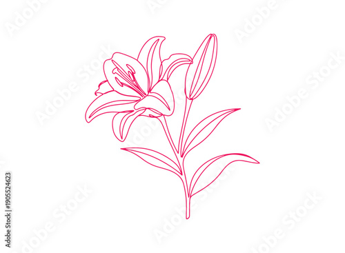 An elegant and creative one-line depiction of a blooming lily flower along with its leaves, crafted in a minimalist color style on a clean white background. One line icon representing a lily flower. 
