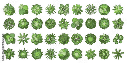 Vector set. Trees top view. Different plants and trees vector set for architectural or landscape design. (View from above) Nature green spaces. 
