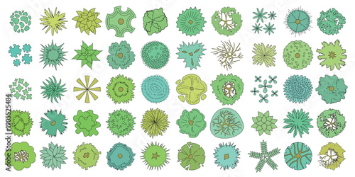 Trees top view. Different plants and trees vector set for architectural or landscape design. View from above. Nature green spaces. Aerial.