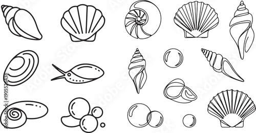 Underwater shells set. Sea shells, mollusks, scallop, pearls.one line icon illustration