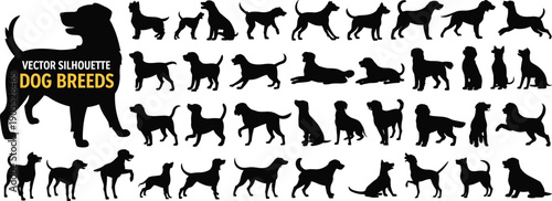 Dog breed silhouettes, vector illustration, domestic pet icons, animal posture design, black white art, stock graphic, canine diversity set