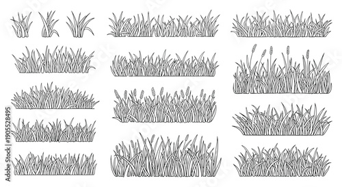 Extensive collection of hand drawn grass patches and tufts in various heights and densities for landscape design and illustrations.