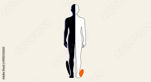 Human figure with highlighted foot