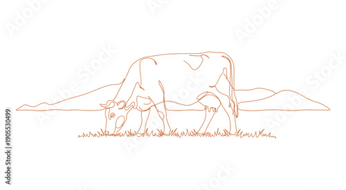 This illustration features a cow on pasture, rendered in a continuous line art style. The minimalist colored linear sketch of the grazing cow is presented on a white background. Vector illustration.
