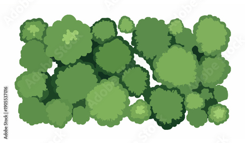 Top view tropical forest canopy vector illustration with layered green foliage and jungle trees isolated on white background