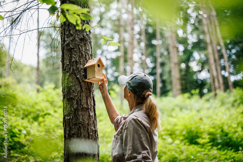 Fotografía Woman ornithologist attaching birdhouse to tree in forest environment
