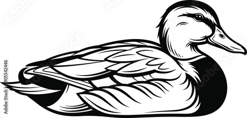 Duck illustration black and white artwork, resting position detailed feather patterns folded wings curved beak stylized vector design, wildlife and nature theme, isolated background
