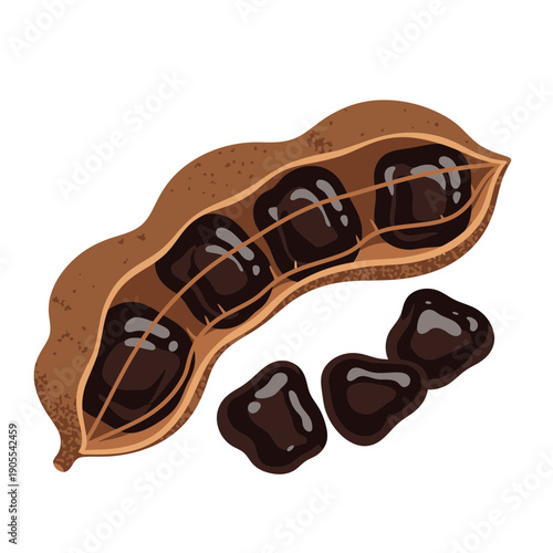 Tamarind Fruit Pod with Seeds