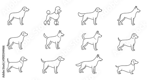 Minimalist Line Art Outlines of Various Dog Breeds