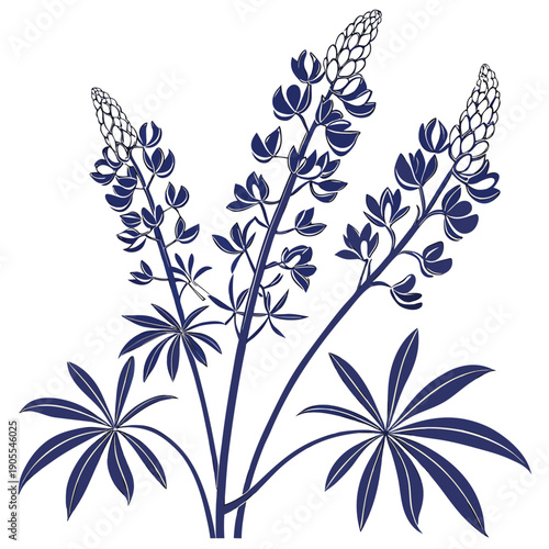 Photos bluebonnets silhouette on white background