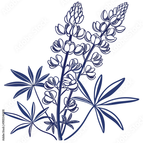 Photos bluebonnets with leaves