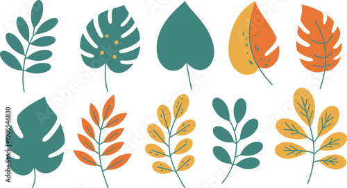 Collection of colorful autumn leaves in various shapes and shades on white background