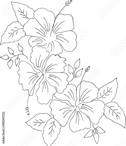 Hand drawn flower illustration decorate 