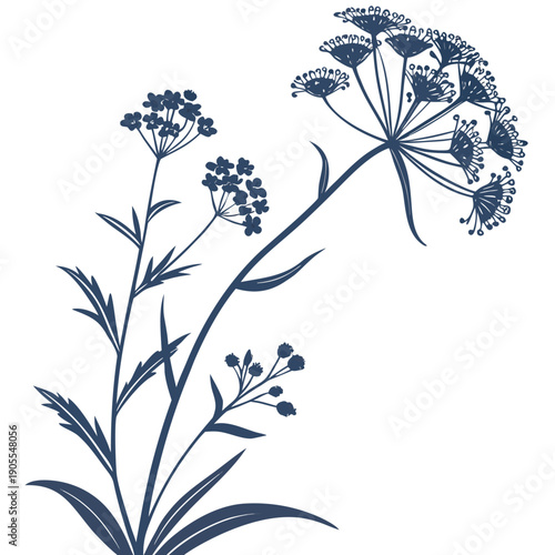 babys breath silhouette on white background