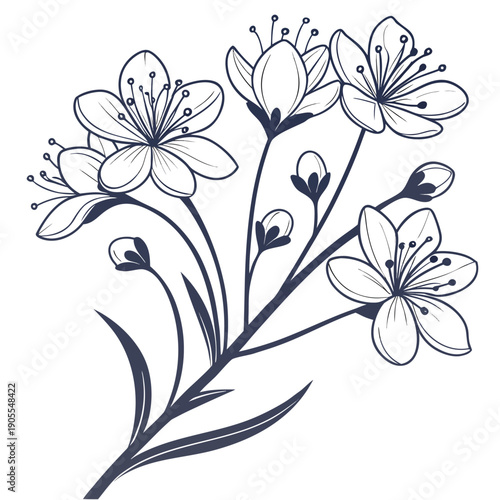 babys breath with leaves