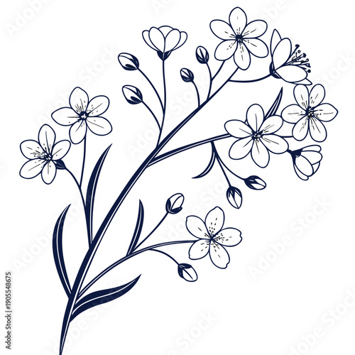 babys breath vector