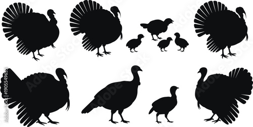 Turkey silhouettes collection, wild turkey family, male female chicks, black bird shapes, farm animal icons, isolated on white background