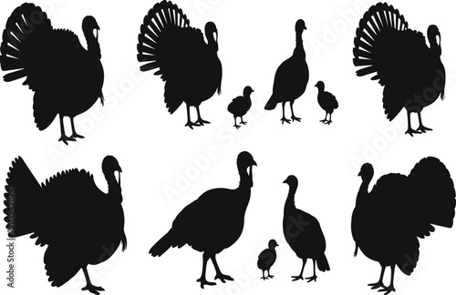 Turkey silhouette collection, farm bird outline set, wild turkey family shapes, poultry animal vector icons isolated on white background