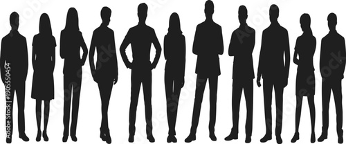Diverse business people silhouettes standing together, professional team concept, corporate workforce unity, leadership, diversity, teamwork, isolated on white background