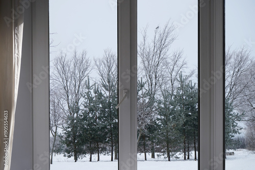 View from the window on trees under the snow, snow-covered park, garden,  landscape with a winter forest.