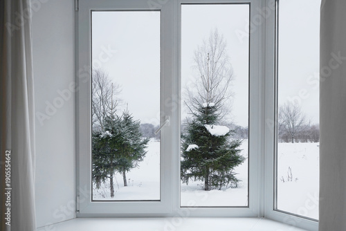 View from the window on trees under the snow, snow-covered park, garden,  landscape with a winter forest.