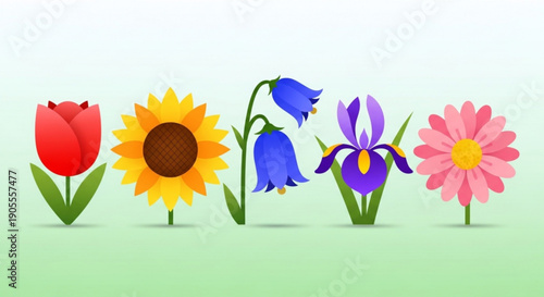 Colorful Flowers Illustration on Green Grass Background