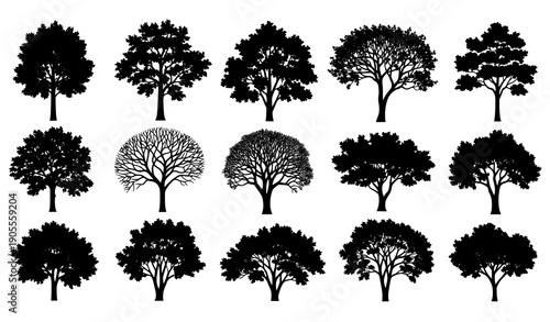 Minimal Black Tree Silhouettes Vector Collection with Diverse Foliage Isolated on White