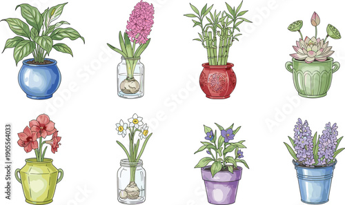 Indoor potted plants and flowers illustration set, houseplants bamboo lotus hyacinth daffodil lavender decorative pots