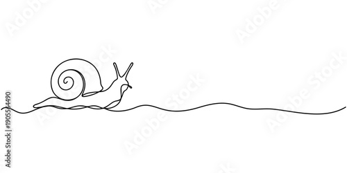 snail conch continuous line vector illustration, Continuous line drawing of conch snail shell. Single line illustration of ocean conch shell, Snail continuous one line drawing isolated on white